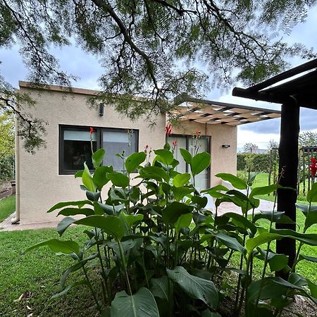 Loft Los Cerezos En Vistalba, Zona De Vinedos Y Bodegas Lujan de Cuyo Exterior foto